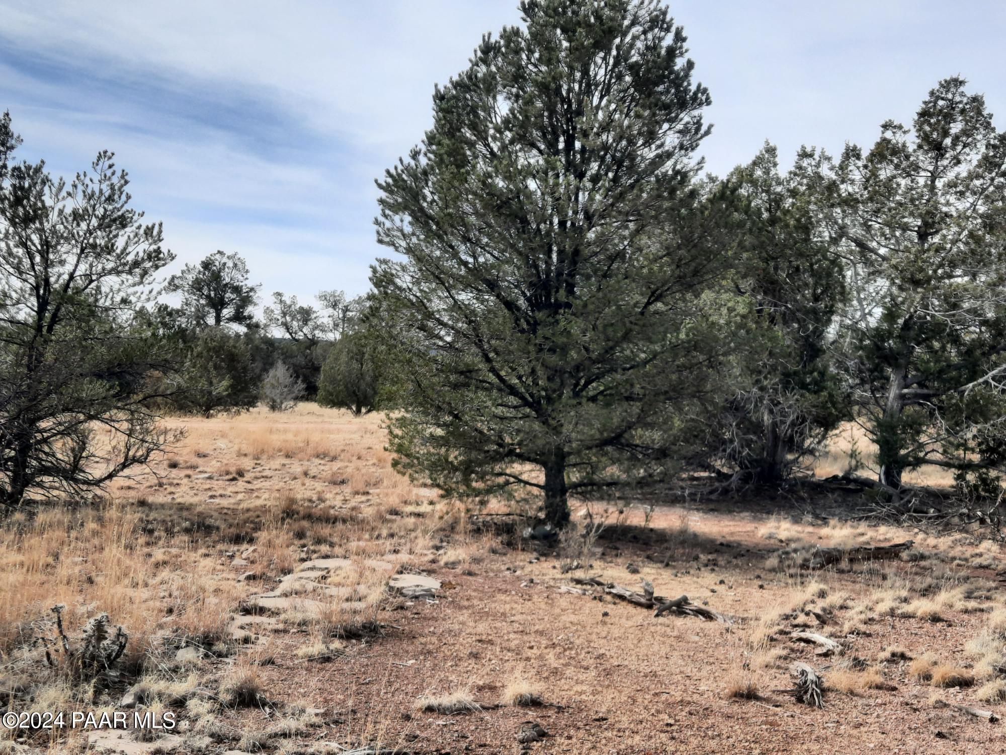 54353 N Shadow Mountain Parkway