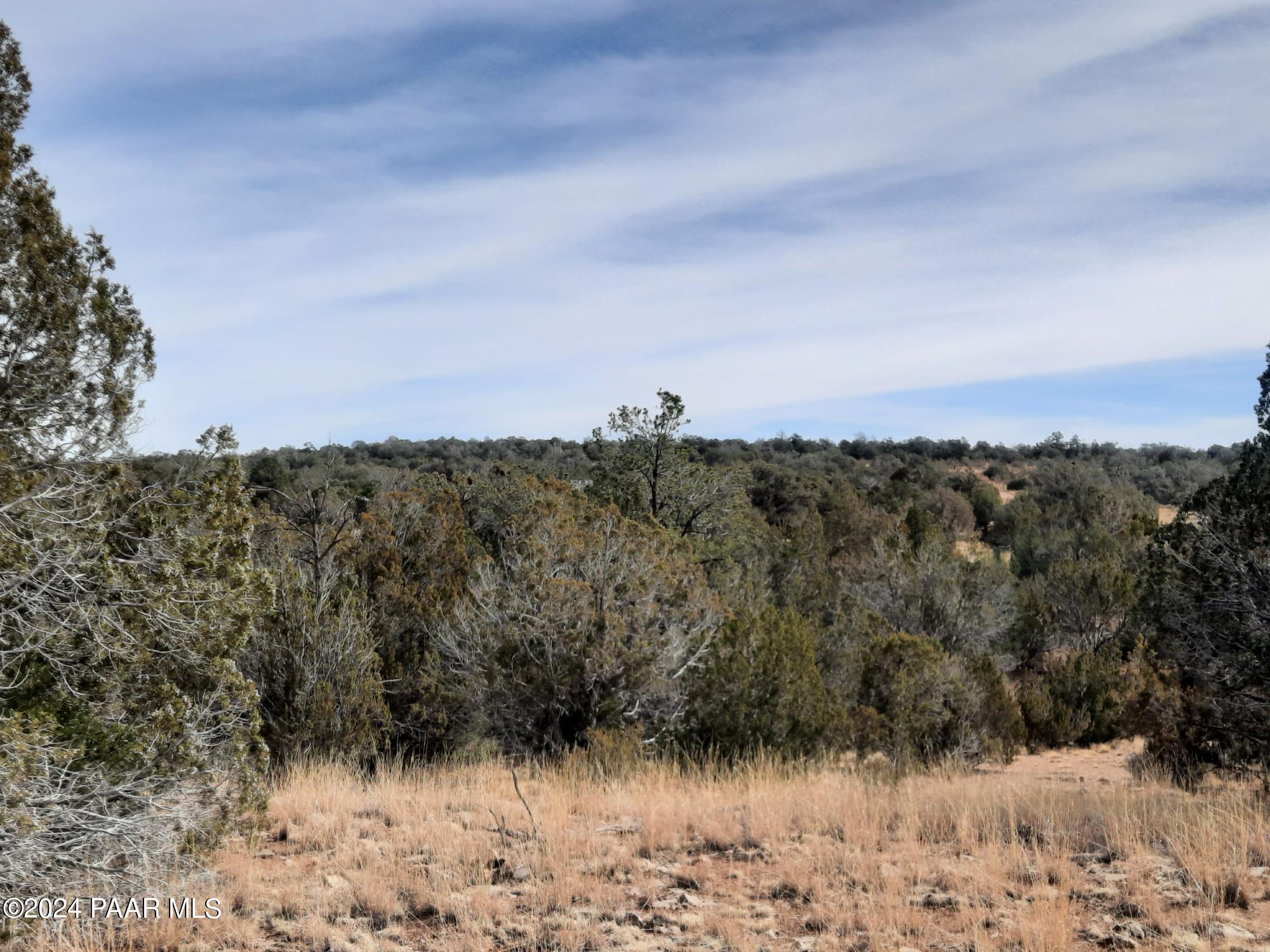 54353 N Shadow Mountain Parkway