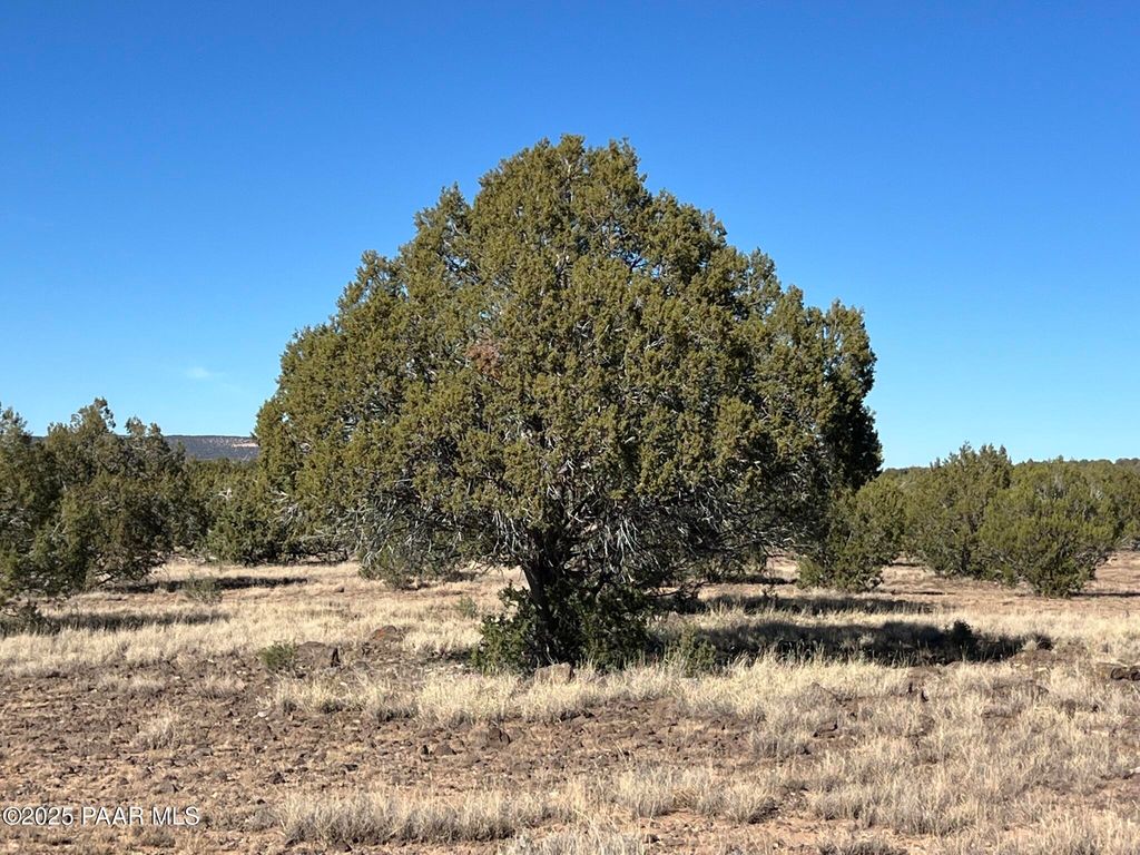 Photo of 6800 Grand Vista Ranch Road, Williams, AZ 86046 (MLS # 1077681)