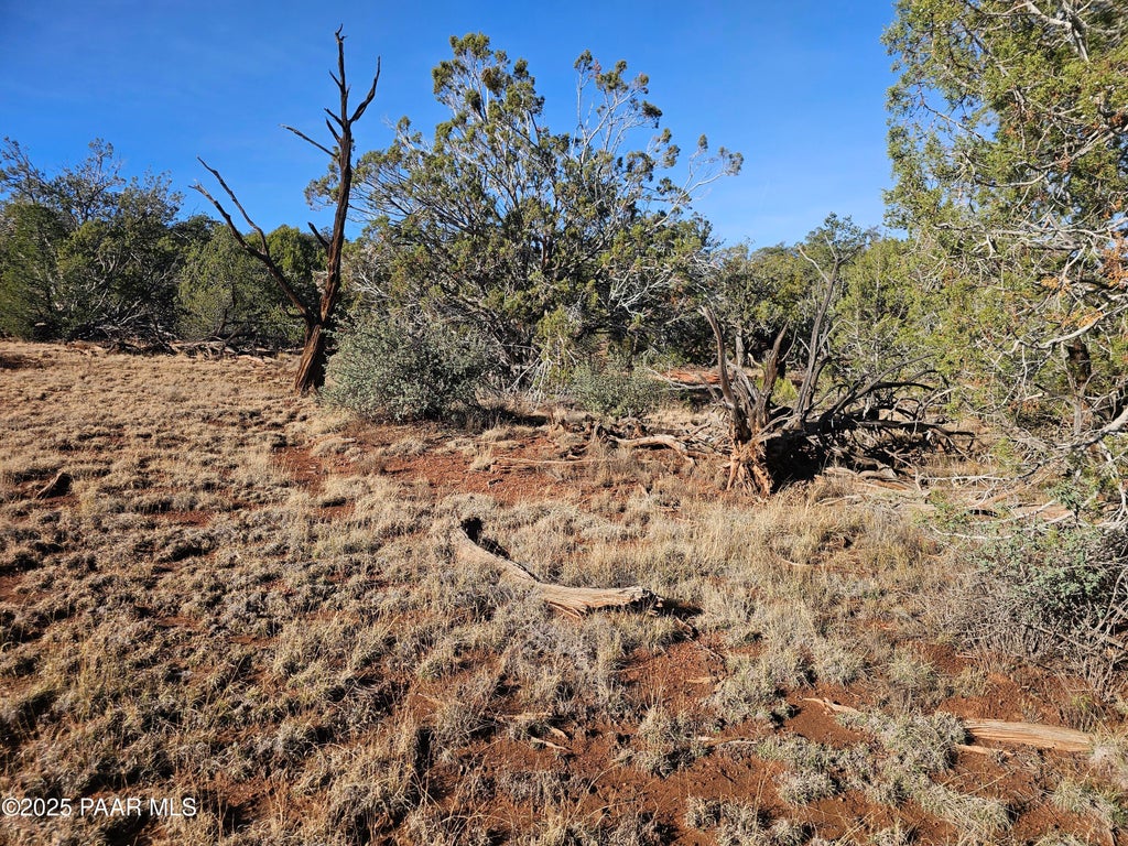 Photo of 54892 N Potrero Lane, Seligman, AZ 86337 (MLS # 1084658)