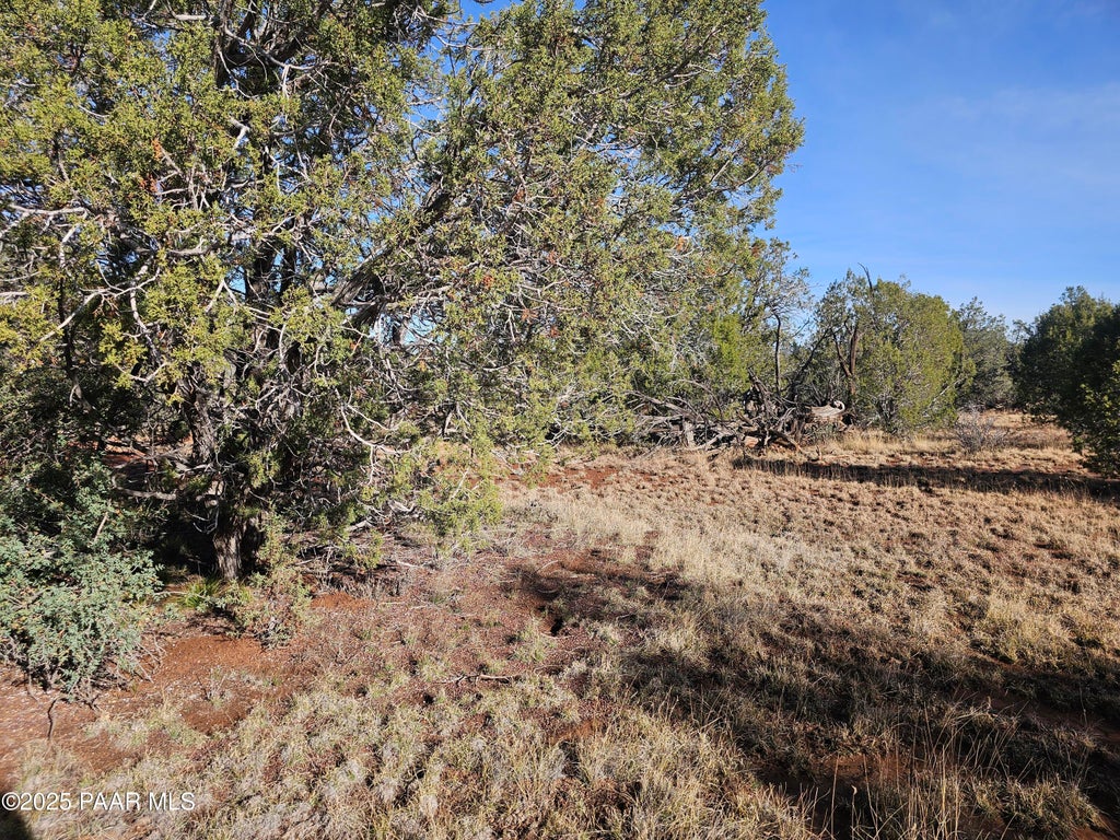 Photo of 54892 N Potrero Lane, Seligman, AZ 86337 (MLS # 1084658)