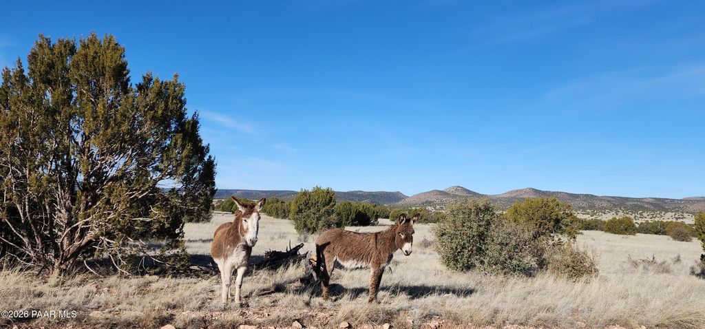 Photo of 361 W Valley Boulevard, Seligman, AZ 86337 (MLS # 1080838)