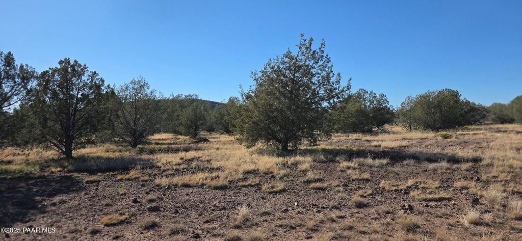 Photo of 3715 Shawn Way Way, Williams, AZ 86046 (MLS # 1077712)