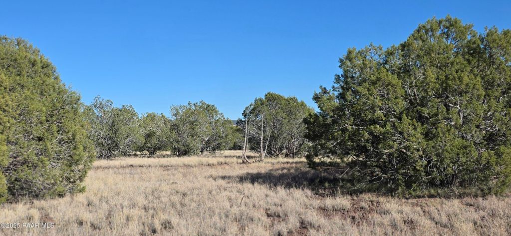 Photo of 3715 Shawn Way Way, Williams, AZ 86046 (MLS # 1077712)