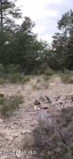 0 Tall Pine Trail