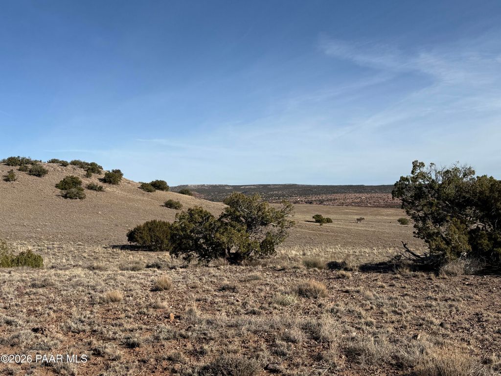 Photo of 197 River Springs Ranch, St. Johns, AZ 85936 (MLS # 1078615)