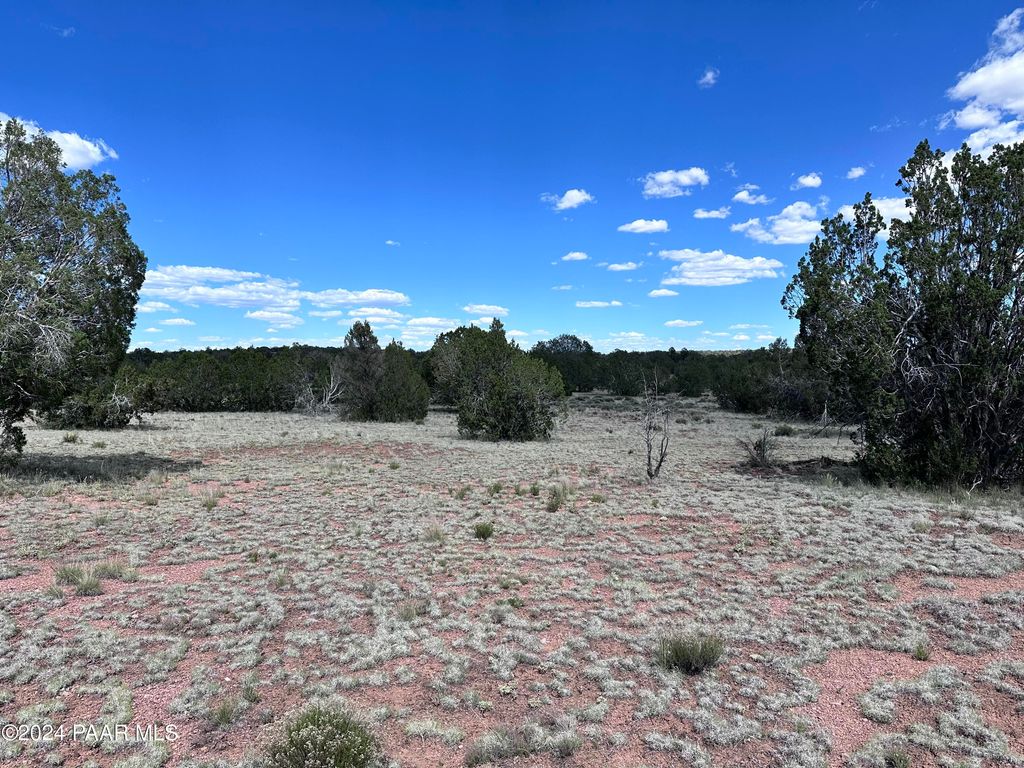 Photo of 31632 W Sundown Drive, Seligman, AZ 86337 (MLS # 1079876)