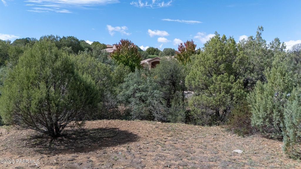 Photo of 204 S Black Forest Circle, Prescott, AZ 86303 (MLS # 1076700)