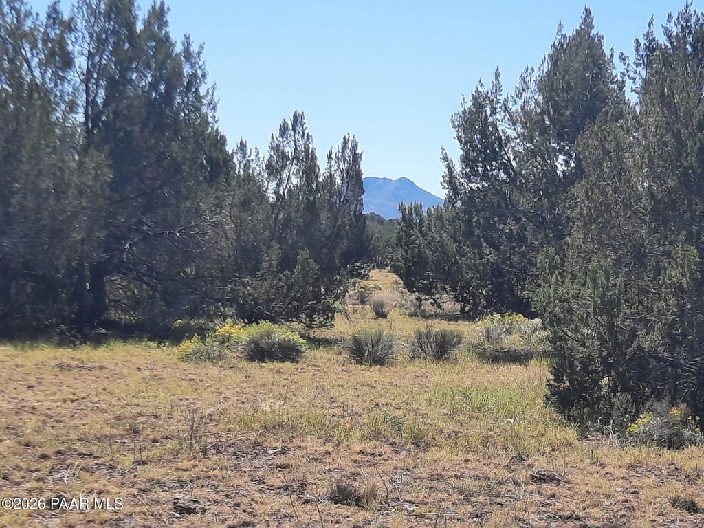 Photo of 34445 W Presidio Lane, Seligman, AZ 86337 (MLS # 1085470)