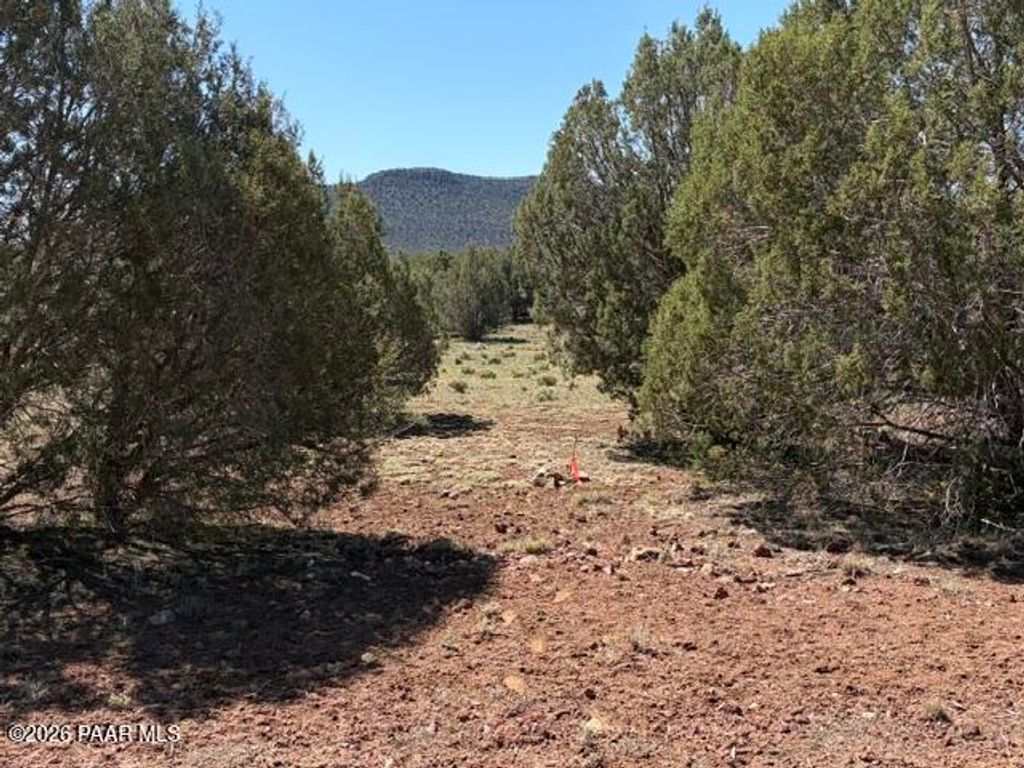 Photo of 851 Fort Rock Road, Seligman, AZ 86337 (MLS # 1081658)