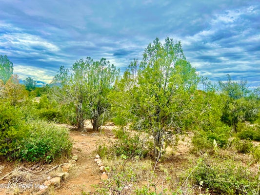 5495 W THREE FORKS RD, PRESCOTT, AZ 86305 - Image f2c8f138243bf48b9dfd7203fe225e64/1248374468