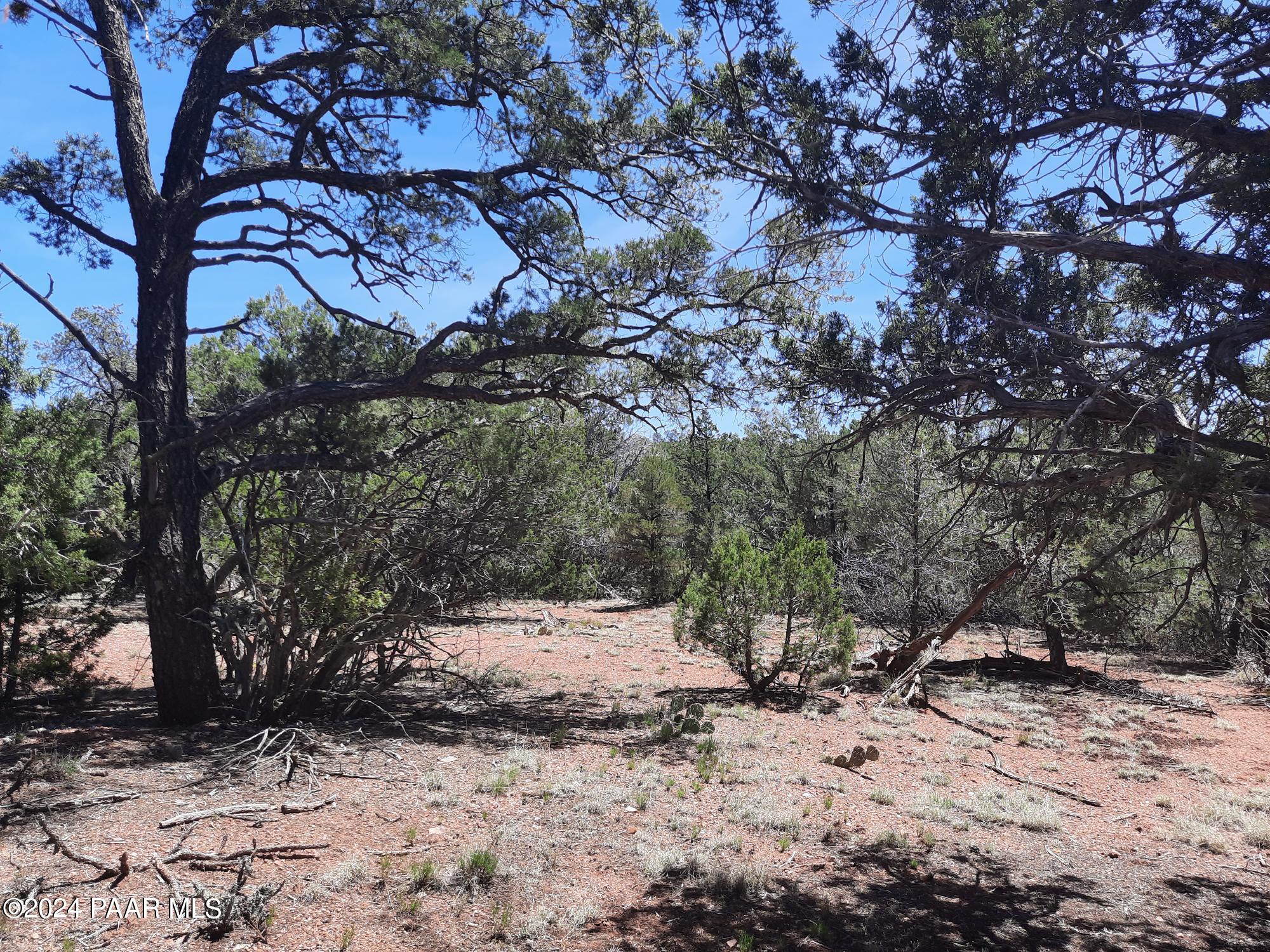 Lot 309 Forest Acres