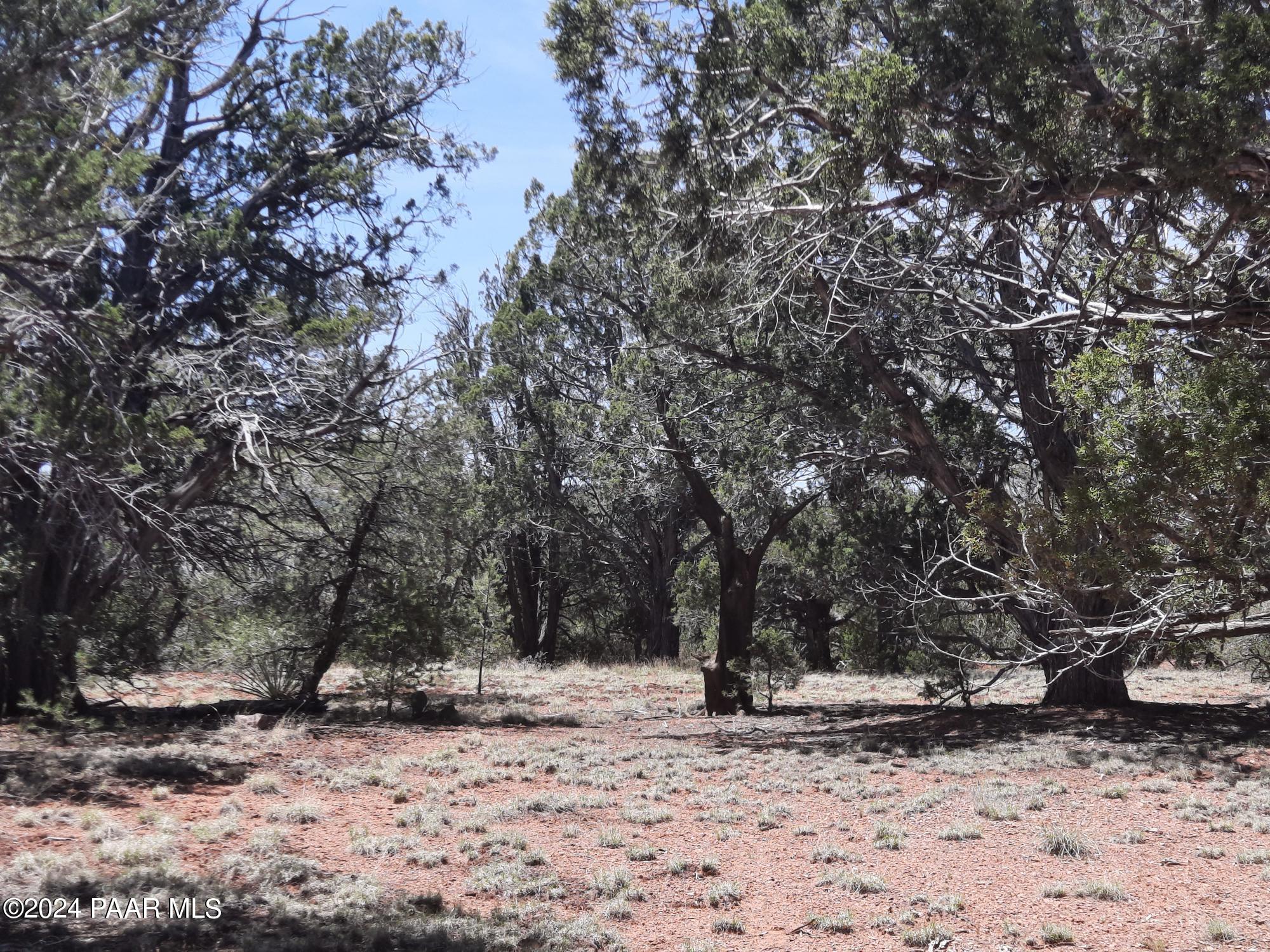 Lot 309 Forest Acres
