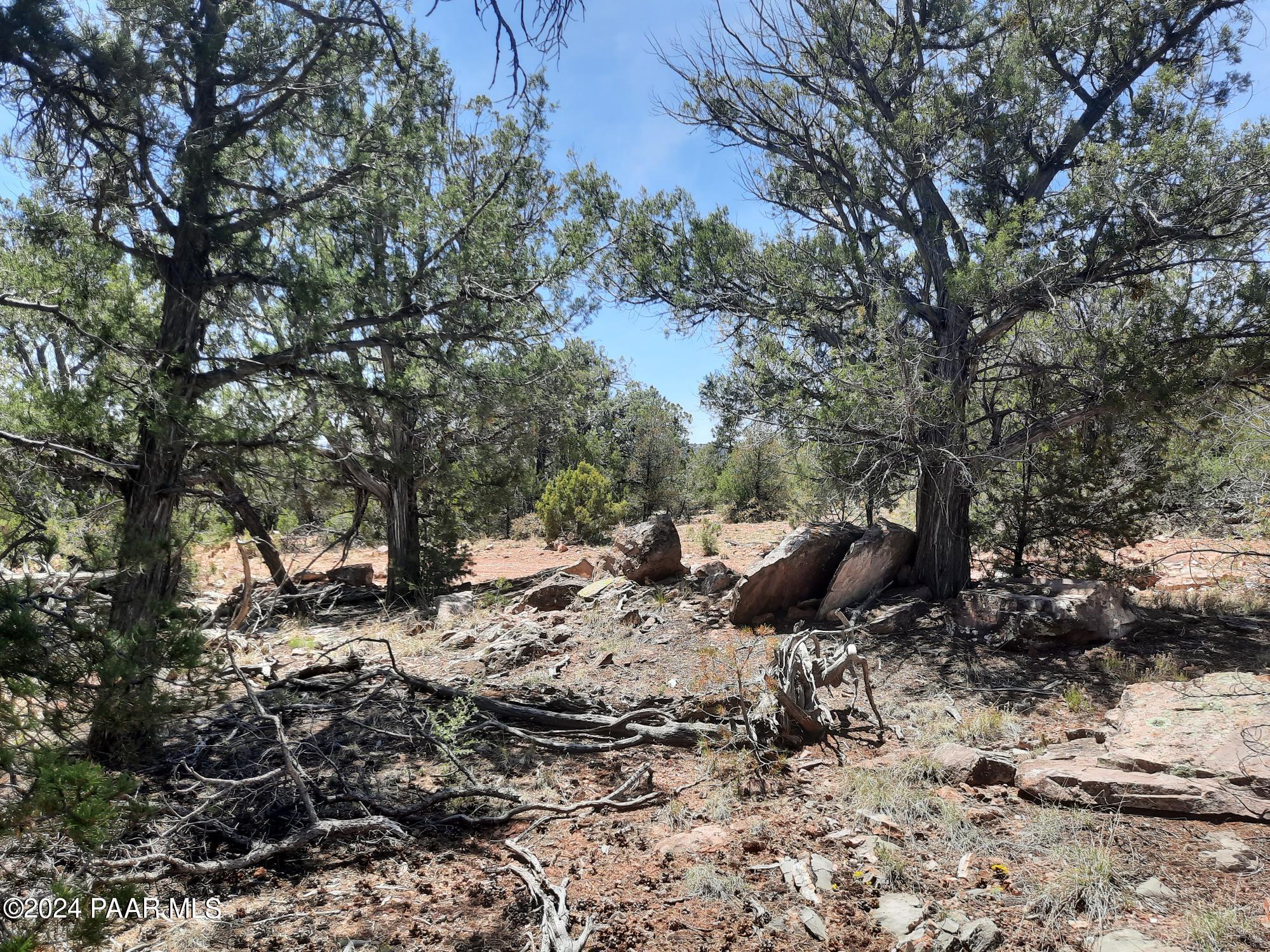 Lot 309 Forest Acres