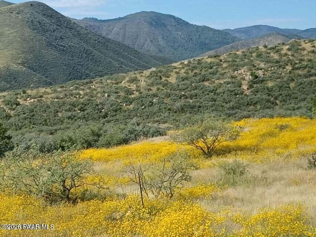 Photo of 10410 E Vaca Bonita Trl, Dewey-Humboldt, AZ 86329 (MLS # 1078797)