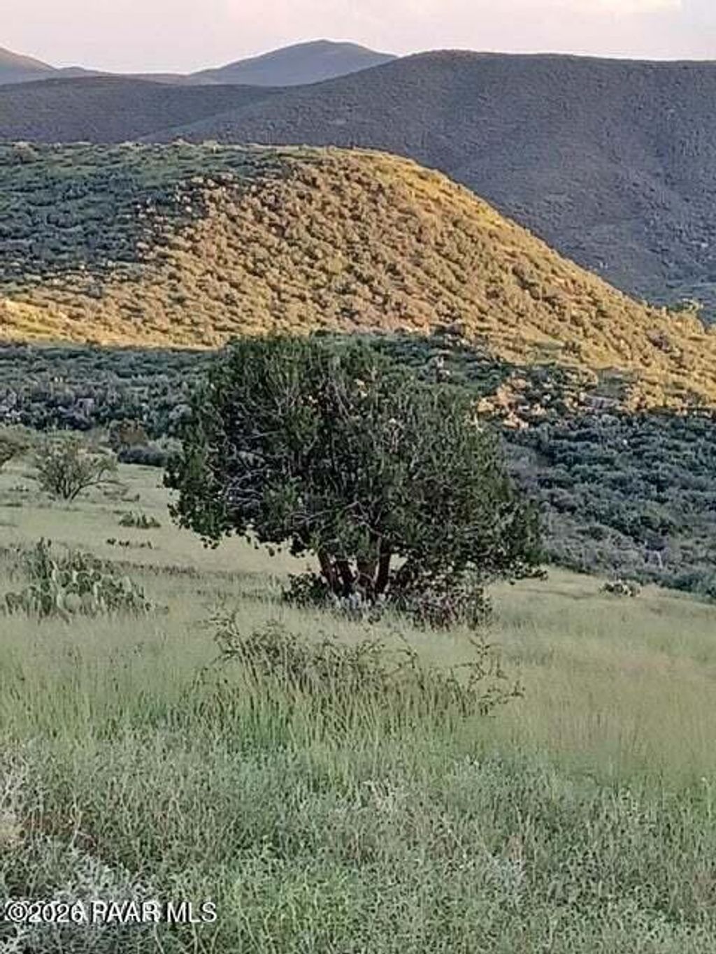 Photo of 10410 E Vaca Bonita Trl, Dewey-Humboldt, AZ 86329 (MLS # 1078797)