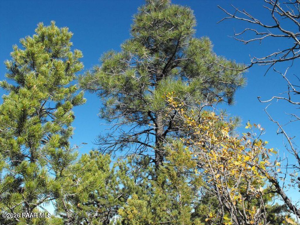 Photo of 5247 Sunset Ridge Loop, Happy Jack, AZ 86024 (MLS # 1080966)