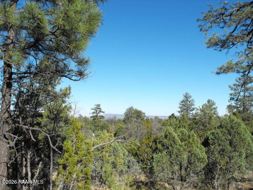 Photo of 5247 Sunset Ridge Loop, Happy Jack, AZ 86024 (MLS # 1080966)