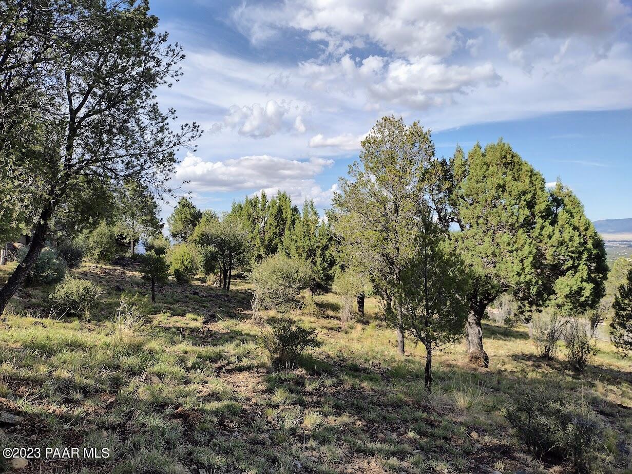 584 Sandpiper Drive