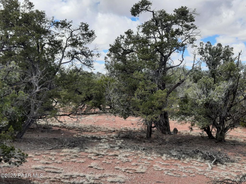 Photo of 55660 N La Bruja Road, Seligman, AZ 86337 (MLS # 1077167)