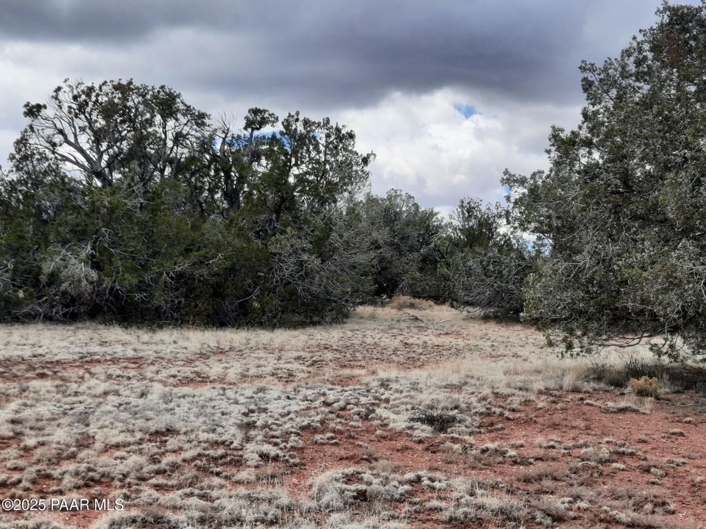 Photo of 55660 N La Bruja Road, Seligman, AZ 86337 (MLS # 1077167)