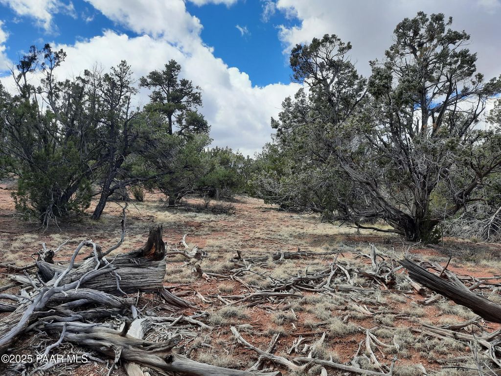 Photo of 55660 N La Bruja Road, Seligman, AZ 86337 (MLS # 1077167)