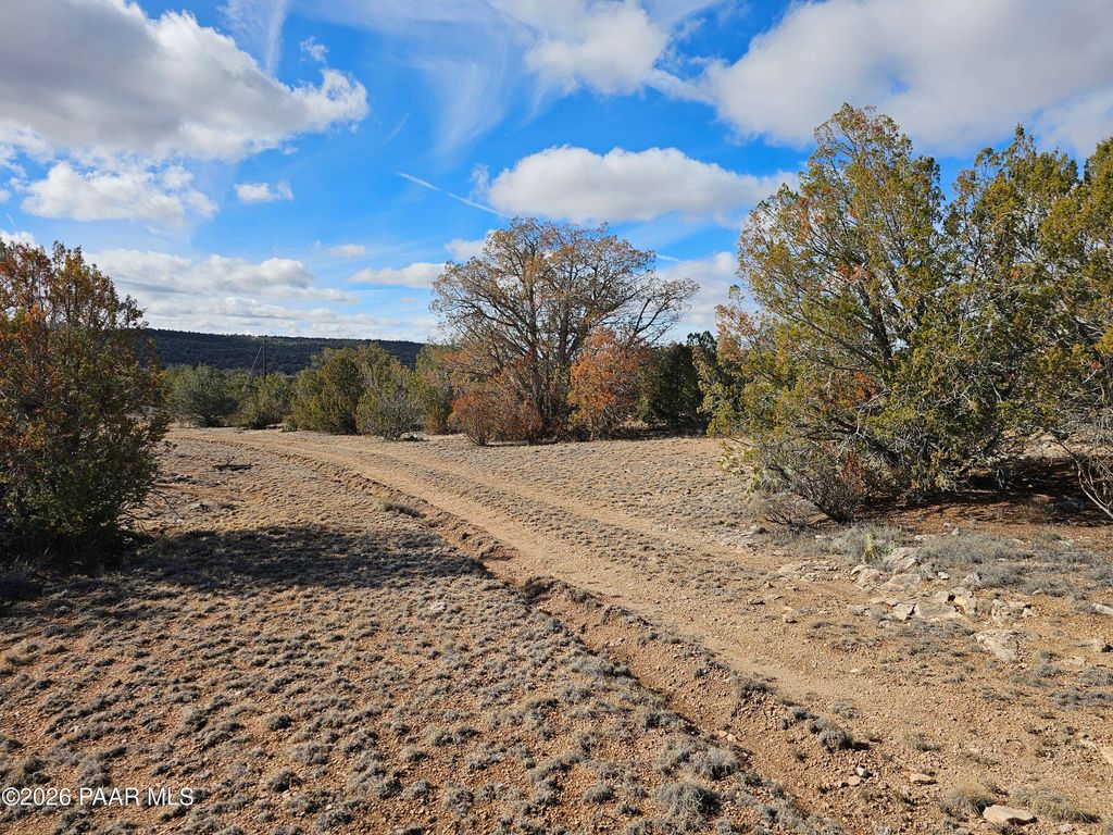 Photo of 30022 W Amalia Road, Seligman, AZ 86337 (MLS # 1078767)