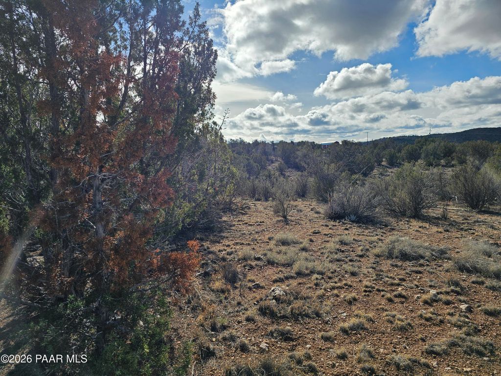 Photo of 30022 W Amalia Road, Seligman, AZ 86337 (MLS # 1078767)