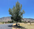 9480 N American Ranch Road