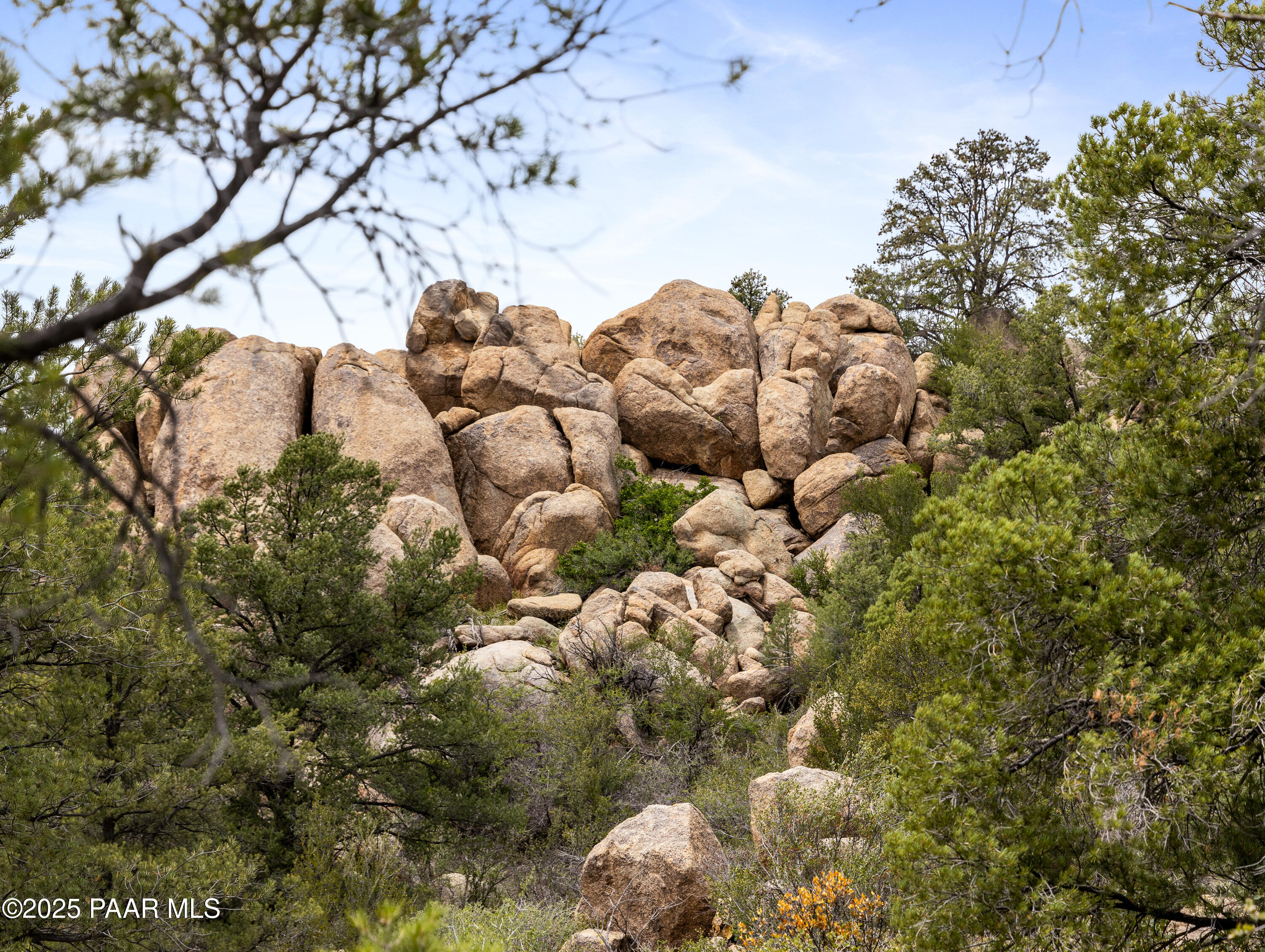 Xxxx W Appaloosa Trail