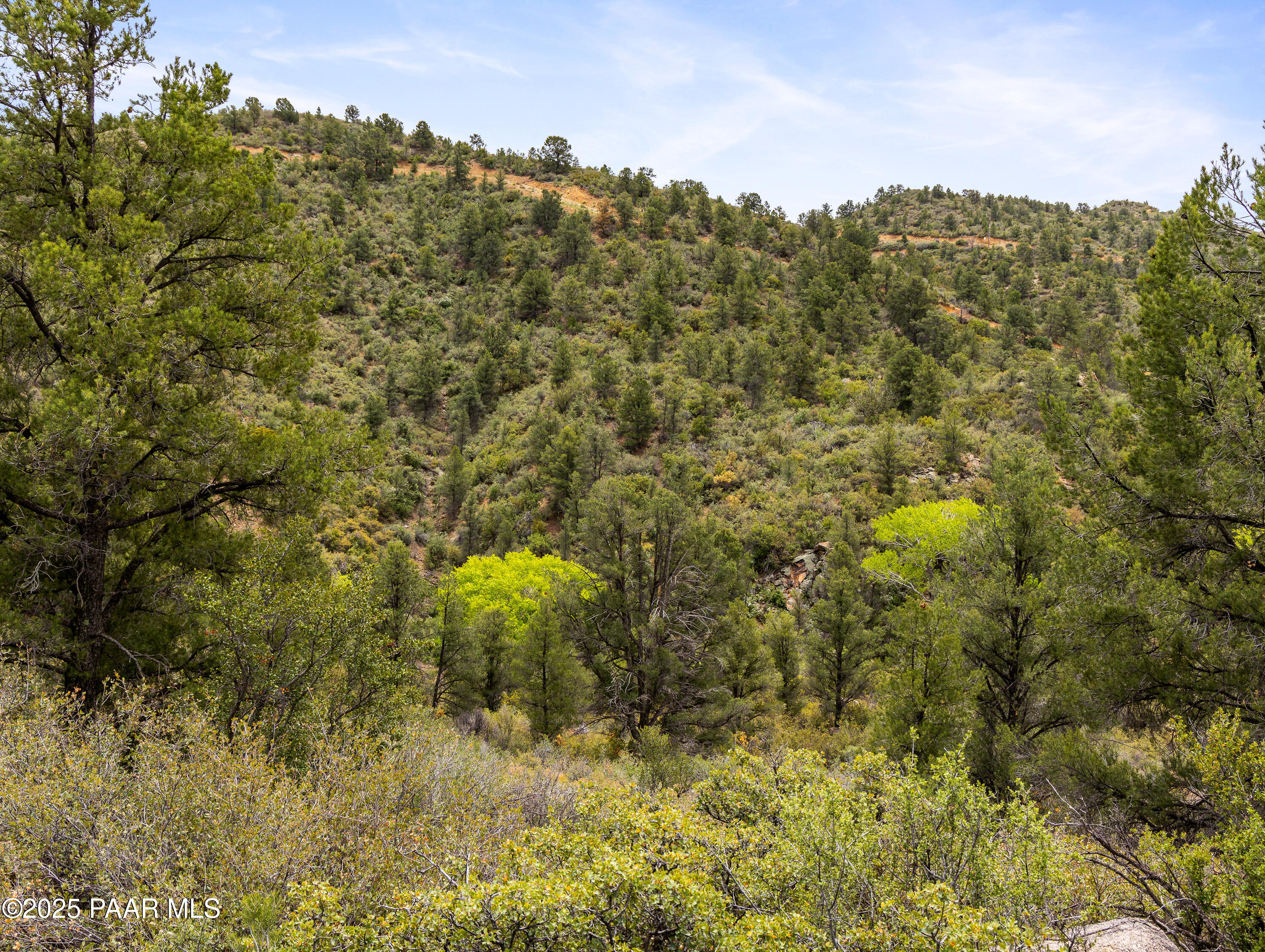 Xxxx W Appaloosa Trail