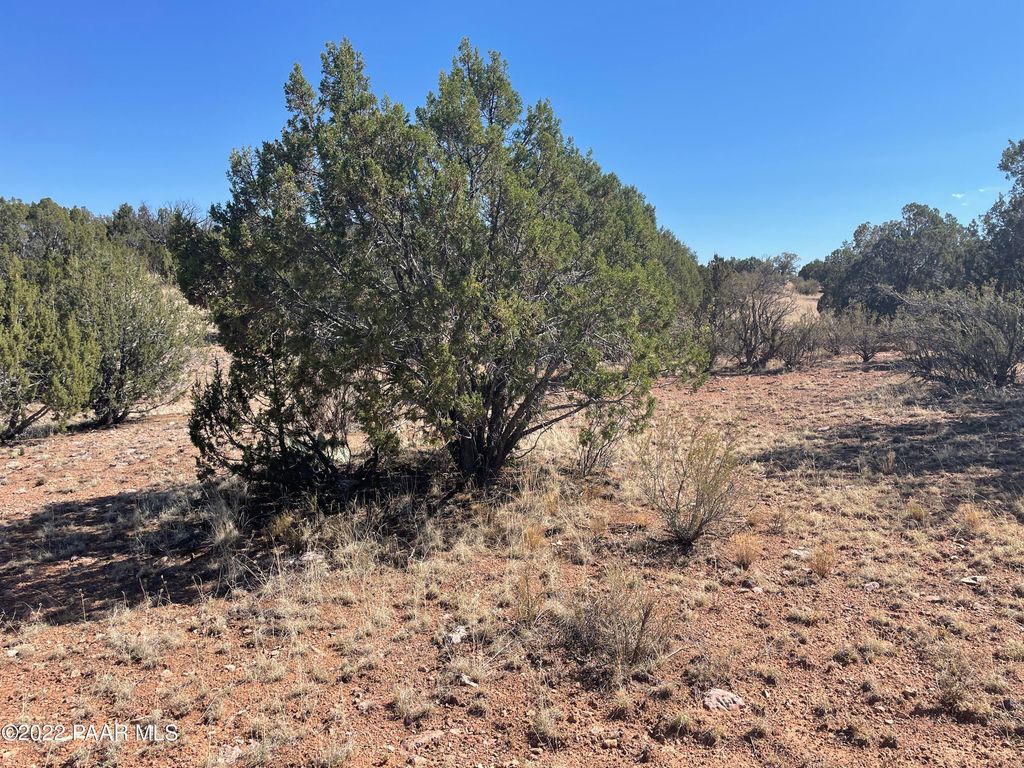 Photo of 30134 W Alpia Circle, Seligman, AZ 86337 (MLS # 1082461)