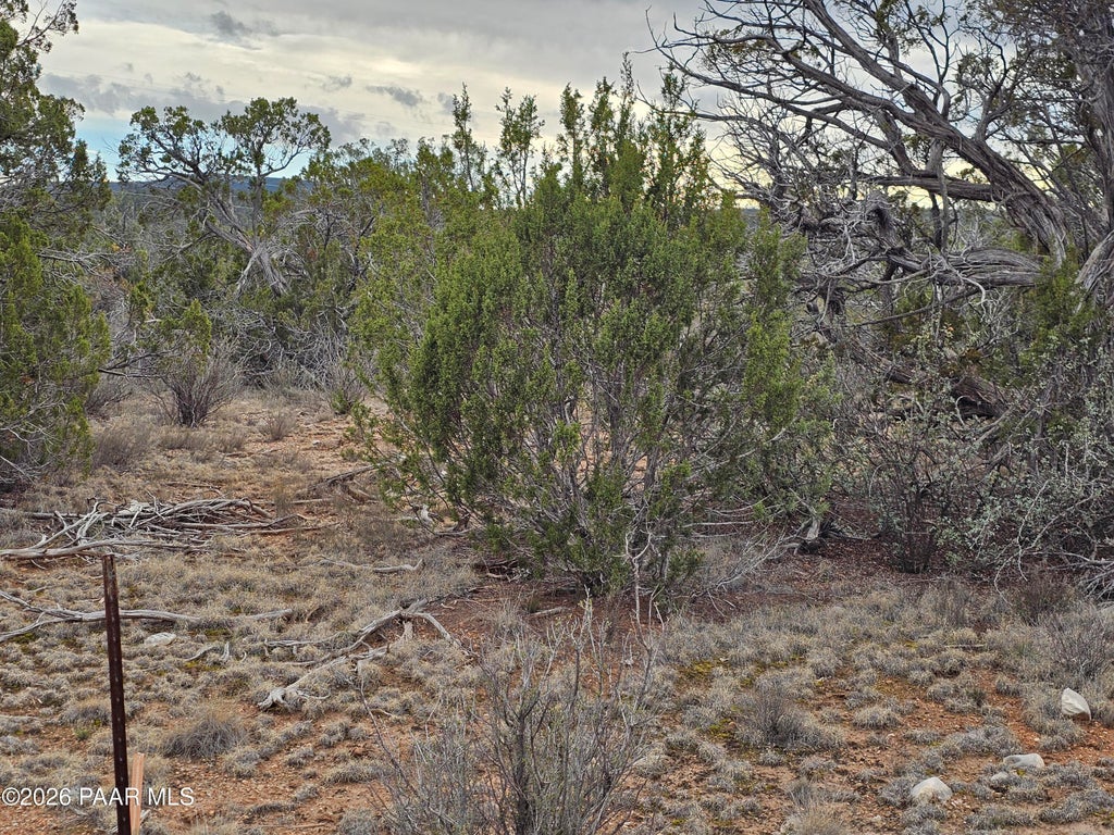 Photo of 32667 W Conejo Road, Seligman, AZ 86337 (MLS # 1085480)