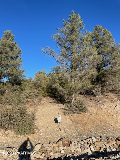 12361 N Thrine (Lot 222)