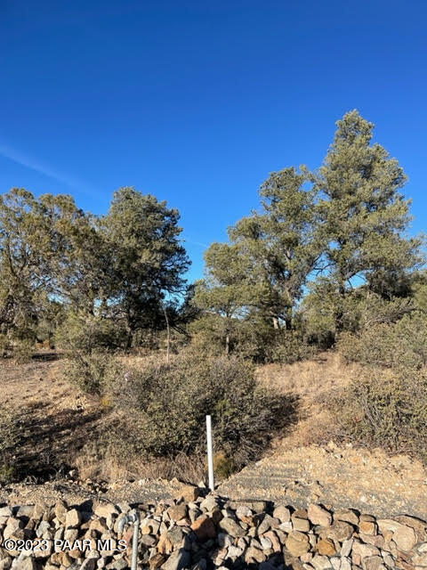 12361 N Thrine (Lot 222)