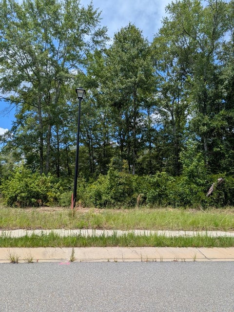 Vacant Land For Sale - 376 Grand Harbor Circle<br/> Houston County, Dothan, AL 36303