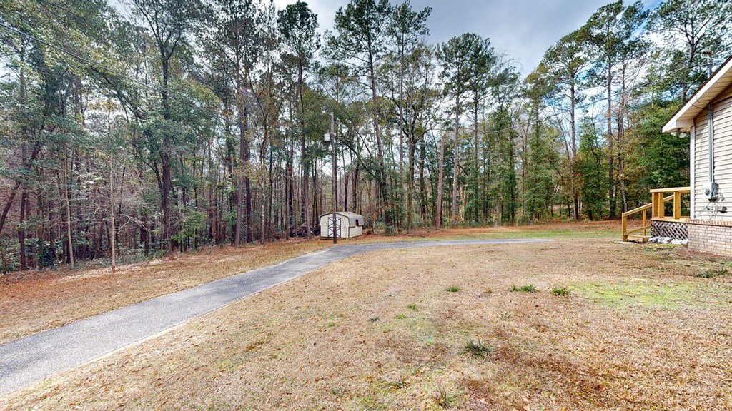 235 Squirrel Drive, Newton, Alabama image 46