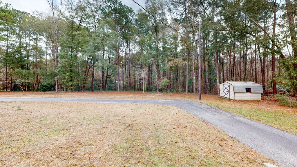 235 Squirrel Drive, Newton, Alabama image 45