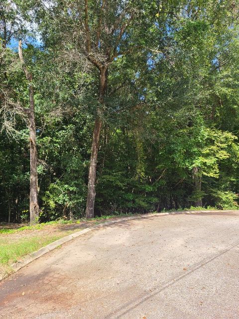 Vacant Land For Sale - Alcuri Dr Lot 13<br/> Ozark, AL 36360