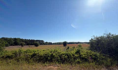 Vacant Land For Sale - 3 ACRES Singletary Road<br/> Houston County, Slocomb, AL 36375