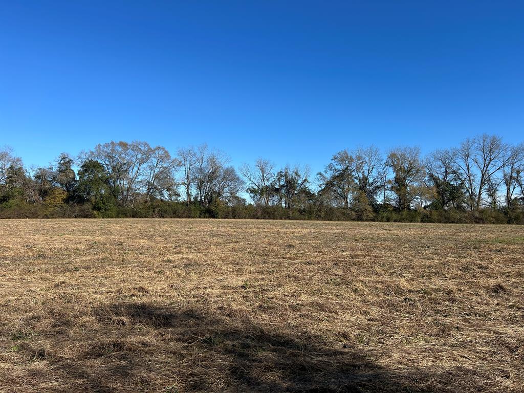 4 +-ac Lot 11, Willie Varnum Rd, Cottonwood, Alabama image 1