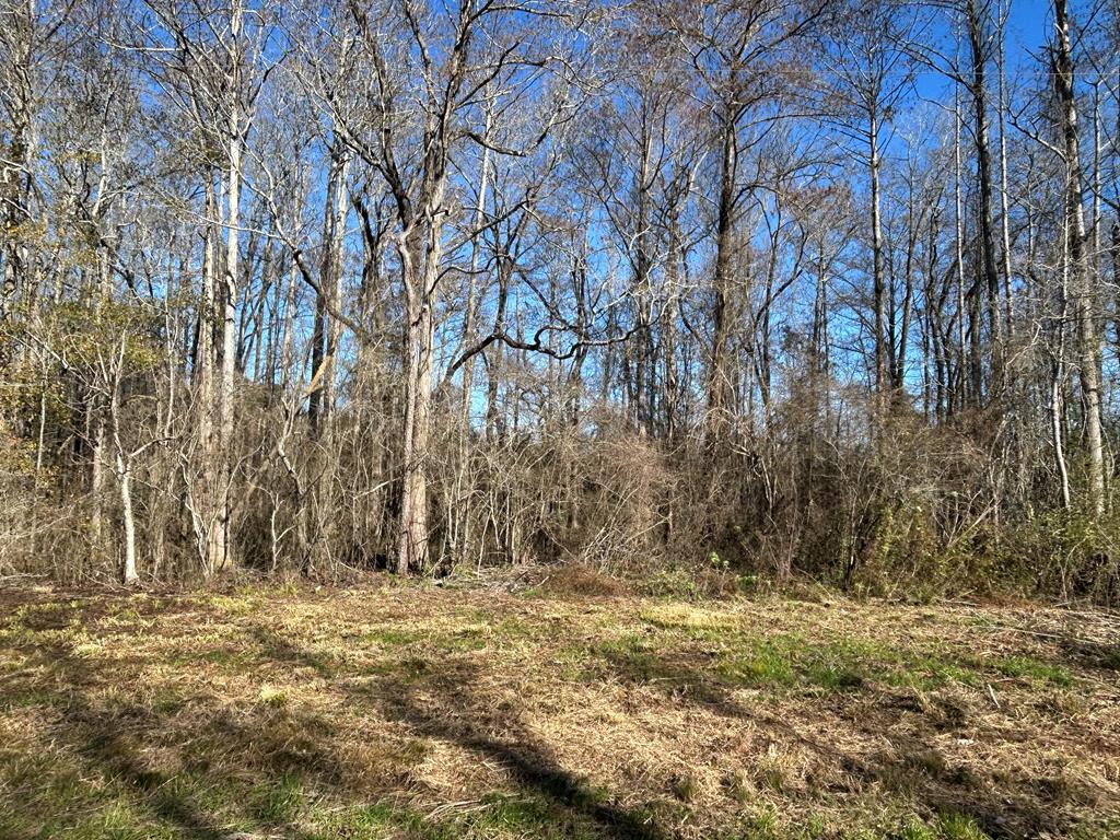 4 +-ac Lot 11, Willie Varnum Rd, Cottonwood, Alabama image 7