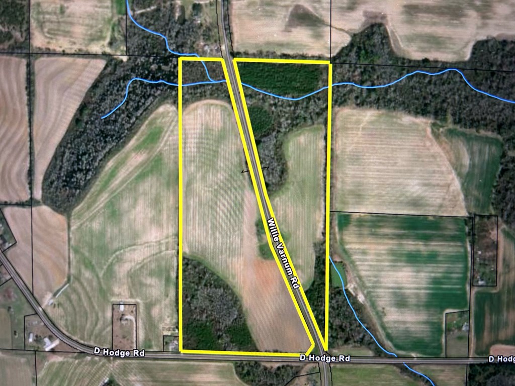 4 +-ac Lot 11, Willie Varnum Rd, Cottonwood, Alabama image 3