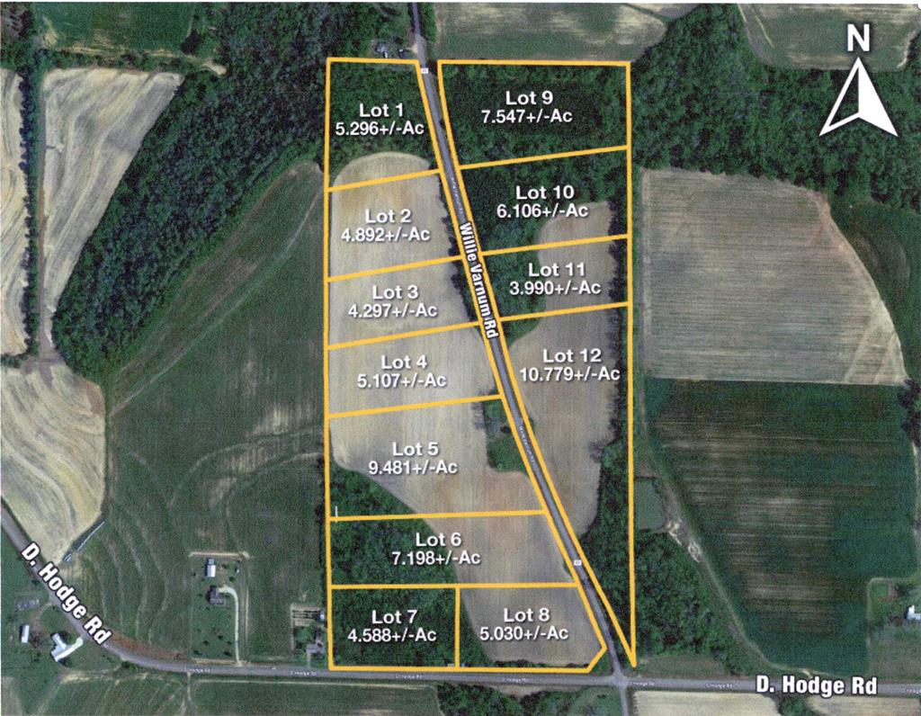 4 +-ac Lot 11, Willie Varnum Rd, Cottonwood, Alabama image 2