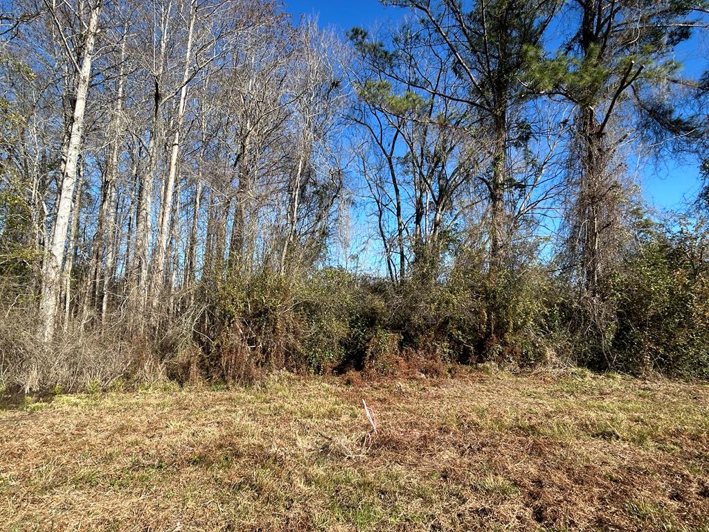 4 +-ac Lot 11, Willie Varnum Rd, Cottonwood, Alabama image 10