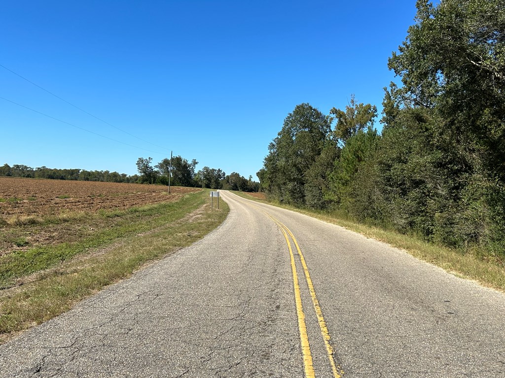 4 +-ac Lot 11, Willie Varnum Rd, Cottonwood, Alabama image 15