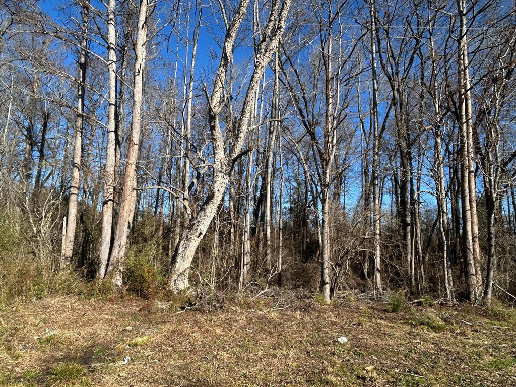 4 +-ac Lot 11, Willie Varnum Rd, Cottonwood, Alabama image 9