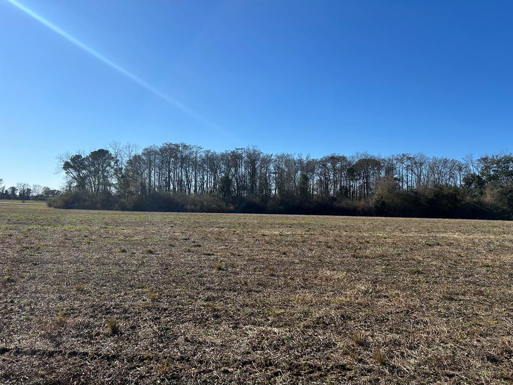 4 +-ac Lot 11, Willie Varnum Rd, Cottonwood, Alabama image 13