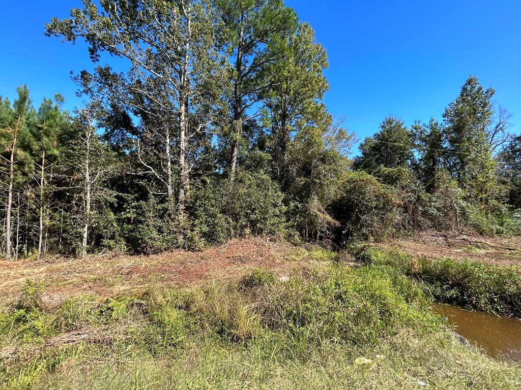 7.547+-ac Lot 9, Willie Varnum Rd, Cottonwood, Alabama image 15