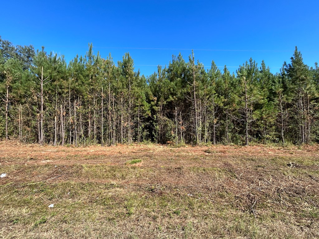 7.547+-ac Lot 9, Willie Varnum Rd, Cottonwood, Alabama image 14